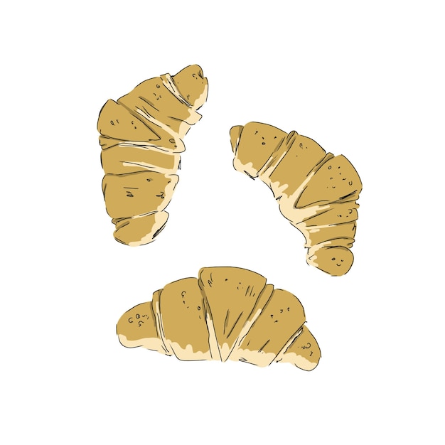 croissant food baking color illustration