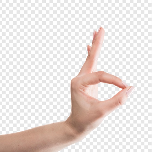 Crop hand showing OK gesture isolated on transparent background