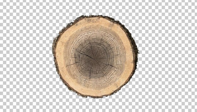 PSD 透明な背景に隔離された年輪を持つ木の幹の横断面