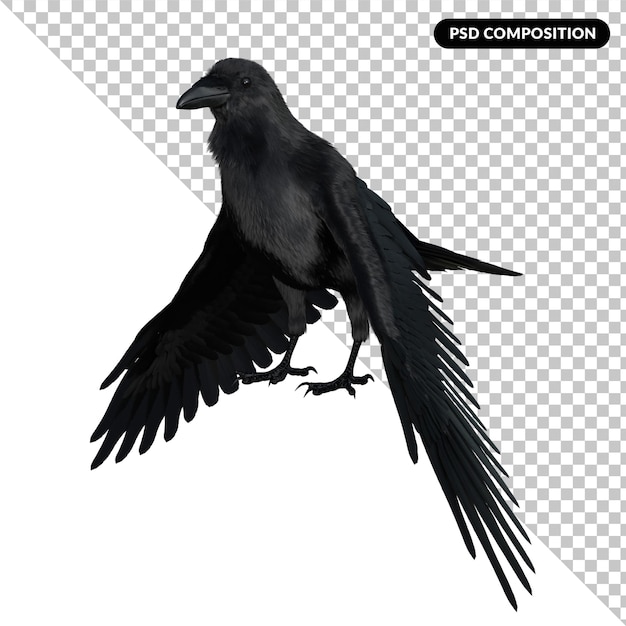 PSD crow isolated premium psd