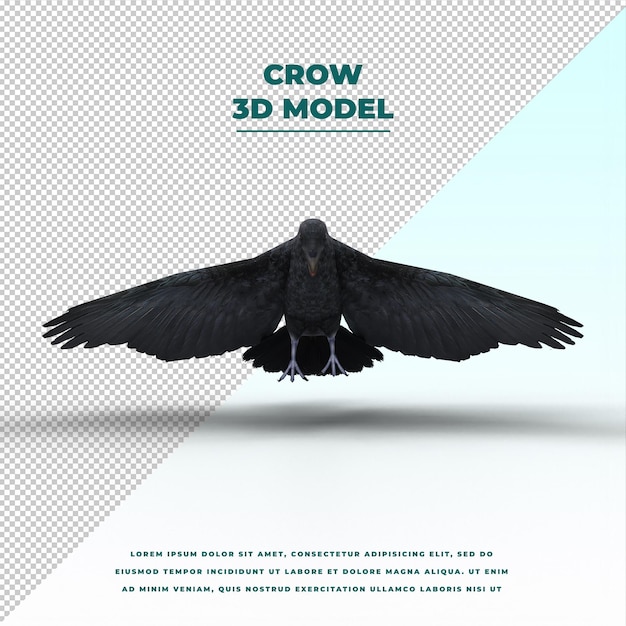 PSD crow isolated