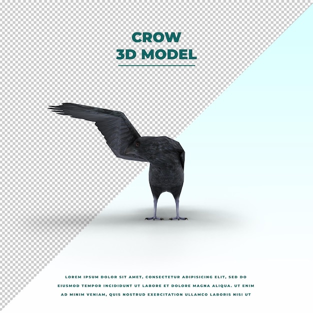 Crow isolated