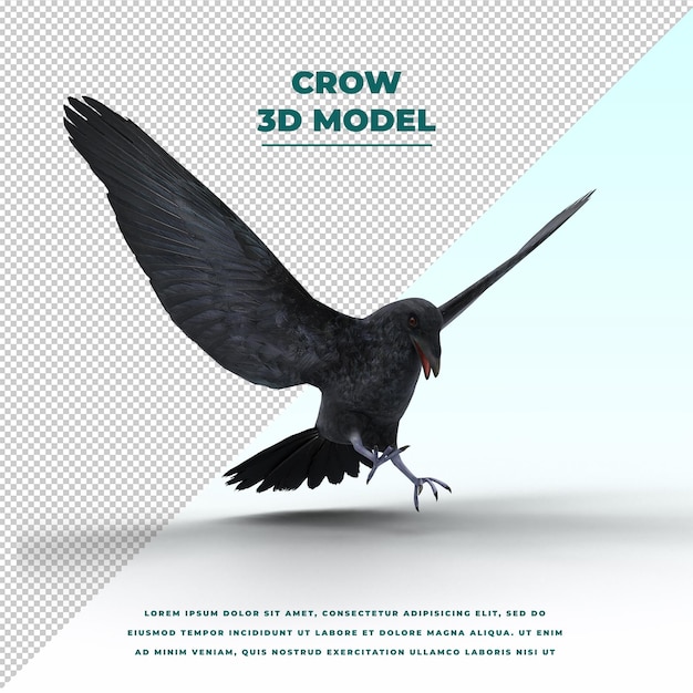 PSD crow isolated