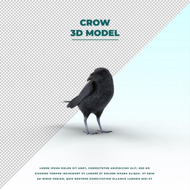 PSD crow isolated