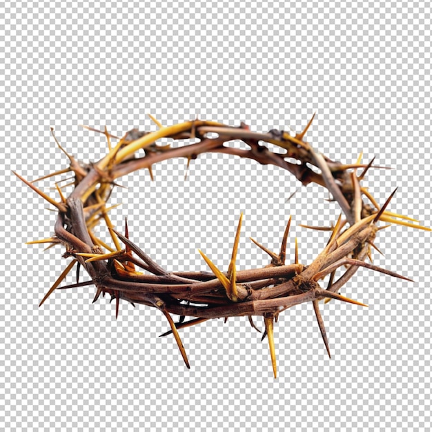 PSD crown of thorn on transparent background