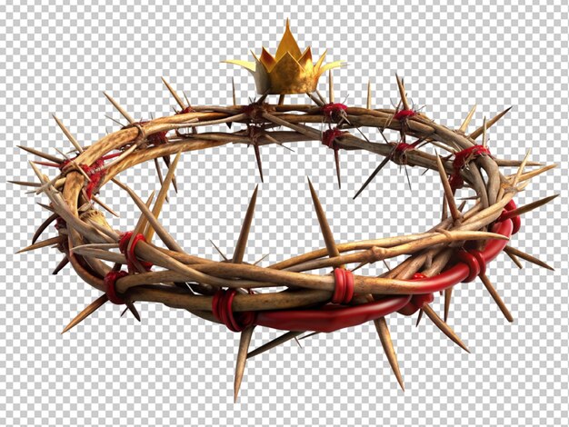 PSD crown of thorns