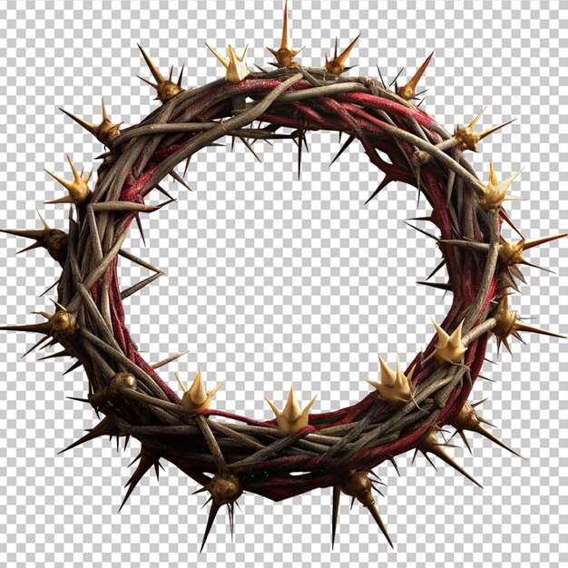 PSD crown of thorns