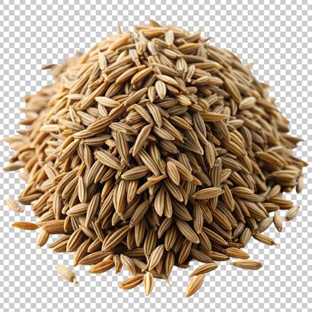 cumin seeds