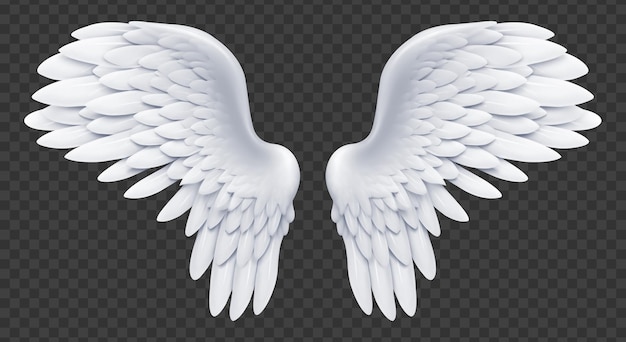 PSD cupid wings isolated on transparent background