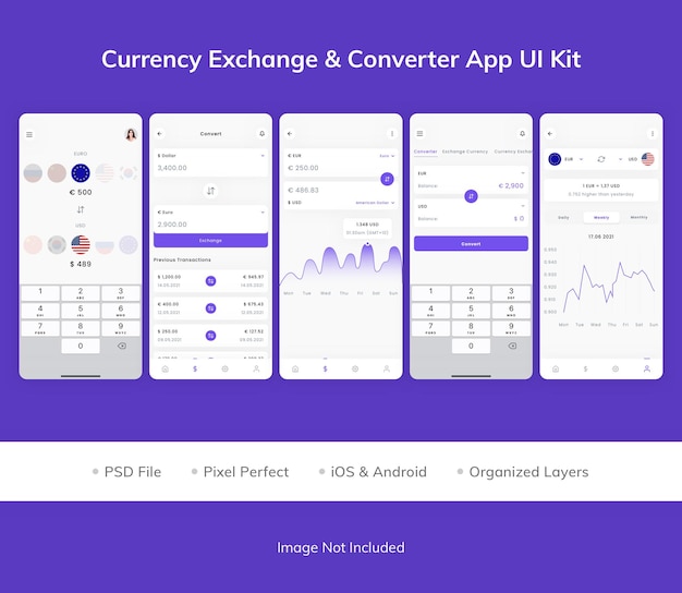 Kit di interfaccia utente dell'app convertitore amplificatore per cambio valuta