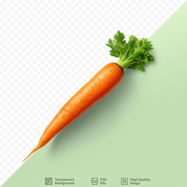 Cut green whole carrot