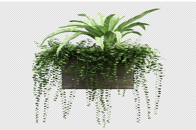 PSD cut out fern in 3d rendering