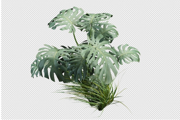 Cut out fern in 3d rendering