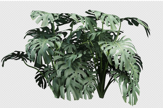 Cut out fern in 3d rendering