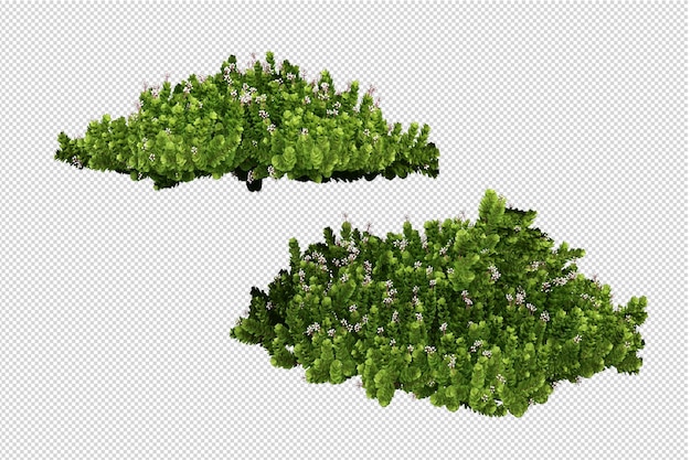 PSD tagliare il fiore nel rendering 3d