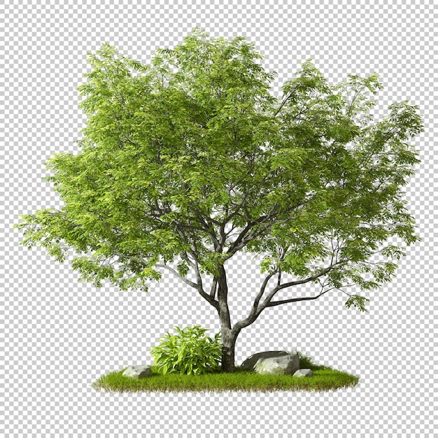 Cut out single green tree shape on grass isolated on transparent backgrounds 3d rendering