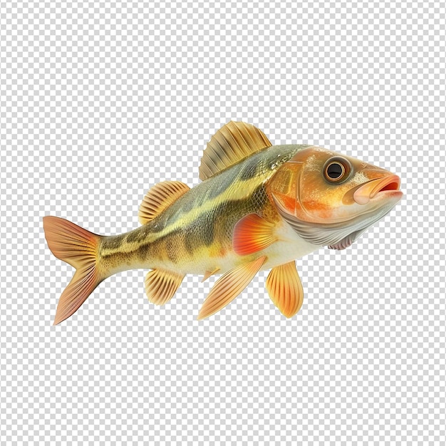 Cute 3d fish isolated on transparent background png