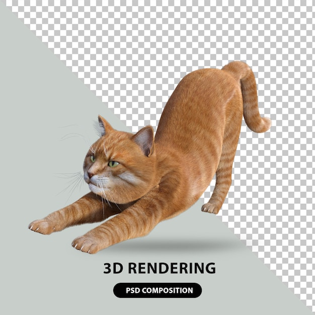 PSD 귀여운 고양이 3d 렌더링