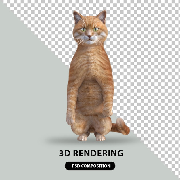 cute cat 3d rendering