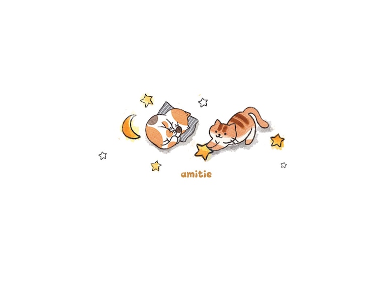 PSD 귀여운 고양이
