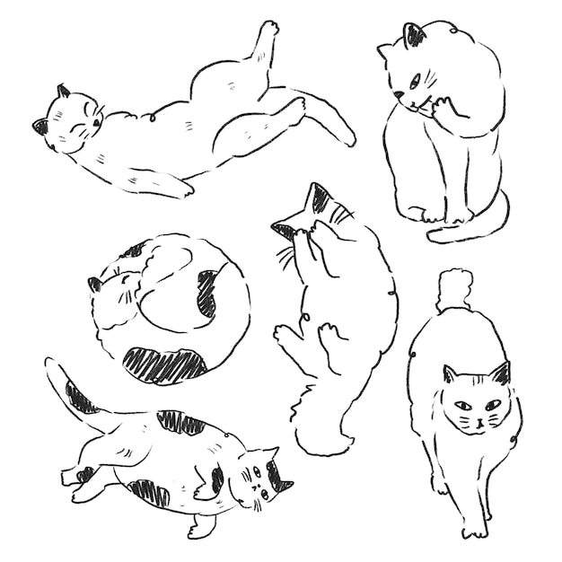 cute cats zarys i elementy tekstu projektowanie szablonów