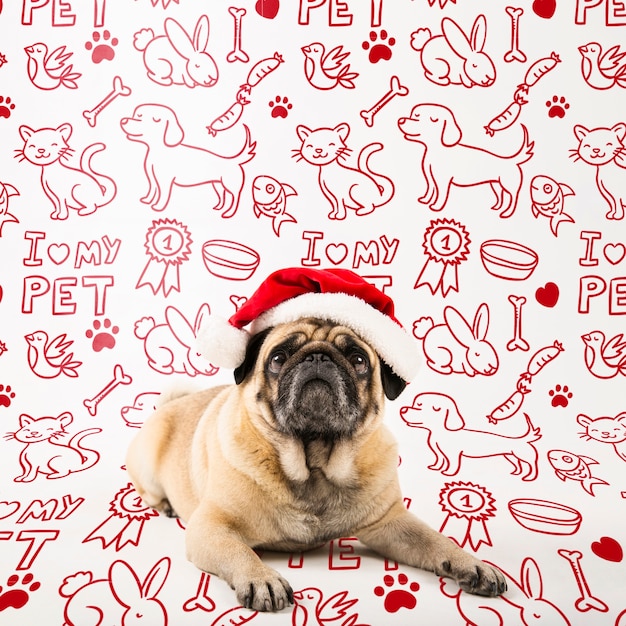 PSD cute dog wearing santa claus hat