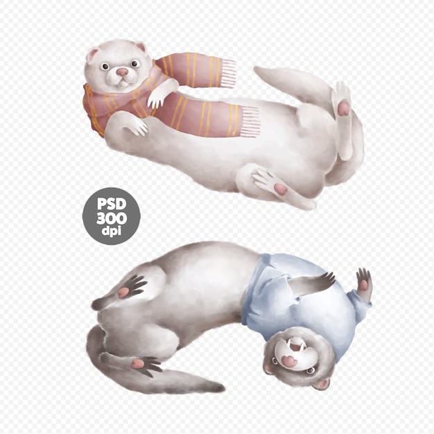 かわいいフェレット手描き孤立
