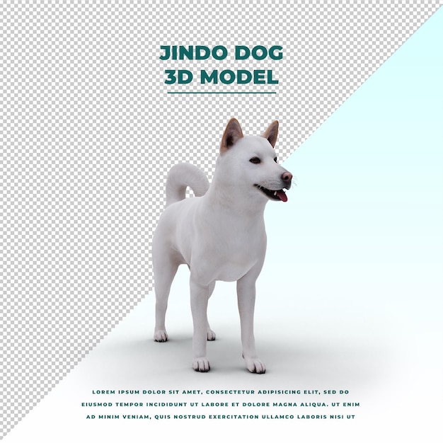 Simpatico cane jindo