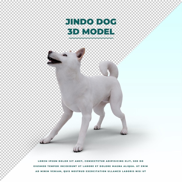 PSD cute jindo dog