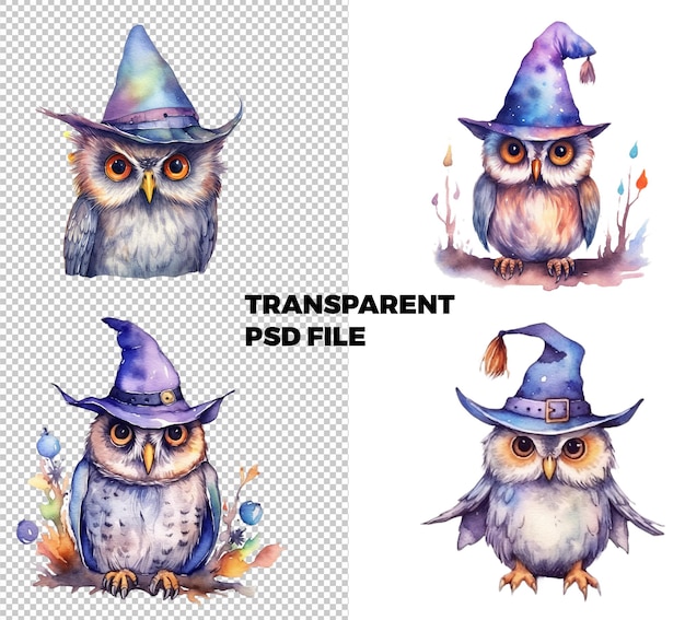 Cute owl with witch hat Watercolor style Clipart Transparent PSD