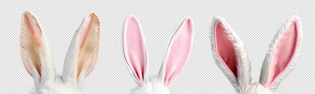 PSD cute rabbit in flat cartoon style