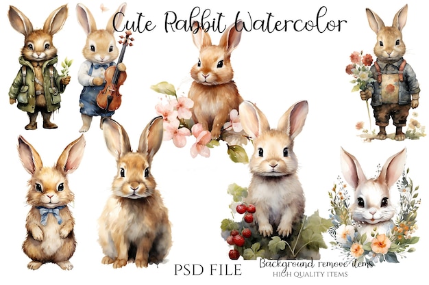 PSD cute rabbit watercolor