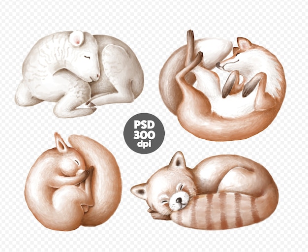 Cute sleeping animals clipart set isolated