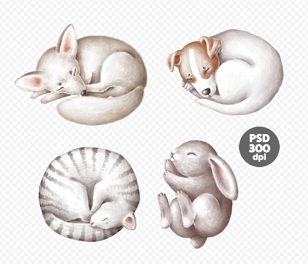 Cute sleeping animals clipart set isolated