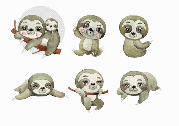 Cute Sloth watercolor cute cartoon animal character