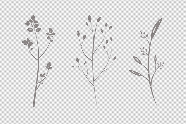 PSD Симпатичные ветки и листья изолированных нарисованных растений клипарт