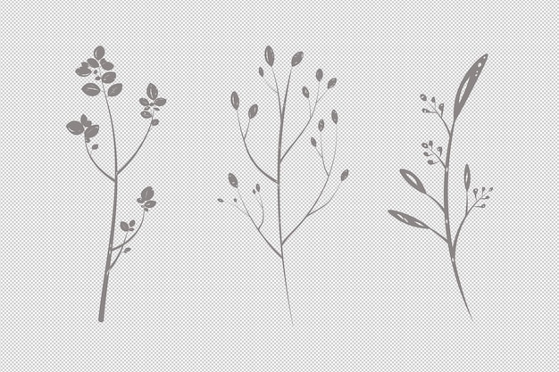 PSD cute twigs and leaves isolated drawn plants clipart