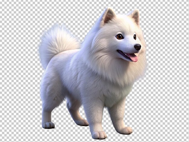 PSD cute white samoyed