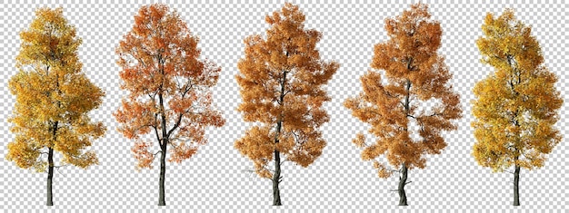 Cutout autumn trees shapes transparent backgrounds 3d render