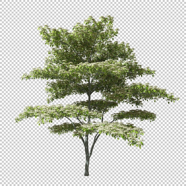 Cutout tree shape environmental for landscape 3d illustration