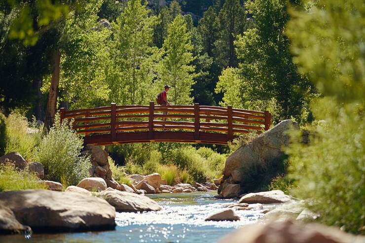 PSD cyclist on wooden bridge over stream in forest