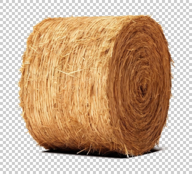 cylinder hay isolated on transparent background