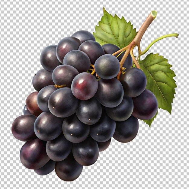 PSD czarne winogrona izolowane na przezroczystym tle