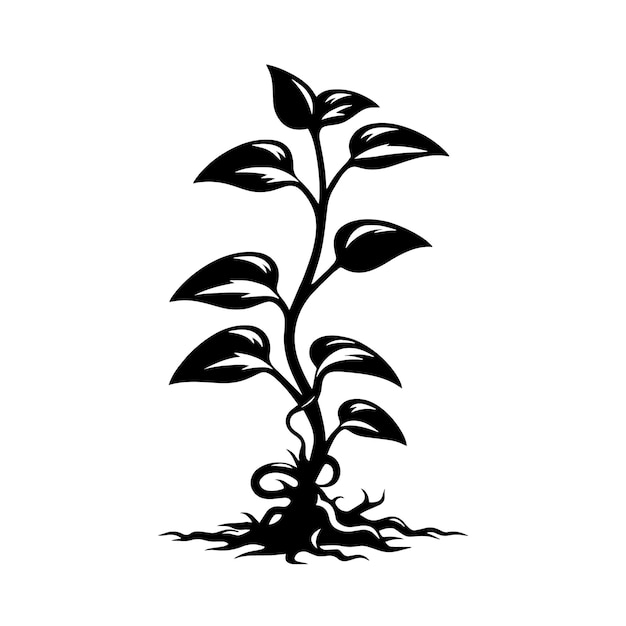PSD czarno-biała sylwetka abstrakcyjnej rośliny jako symbolu natury