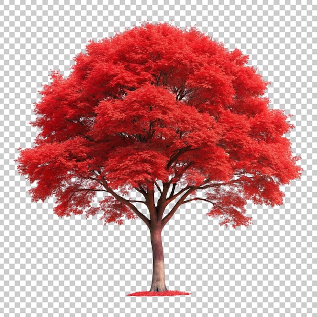 PSD czerwone drzewo izolowane na przezroczystym tle