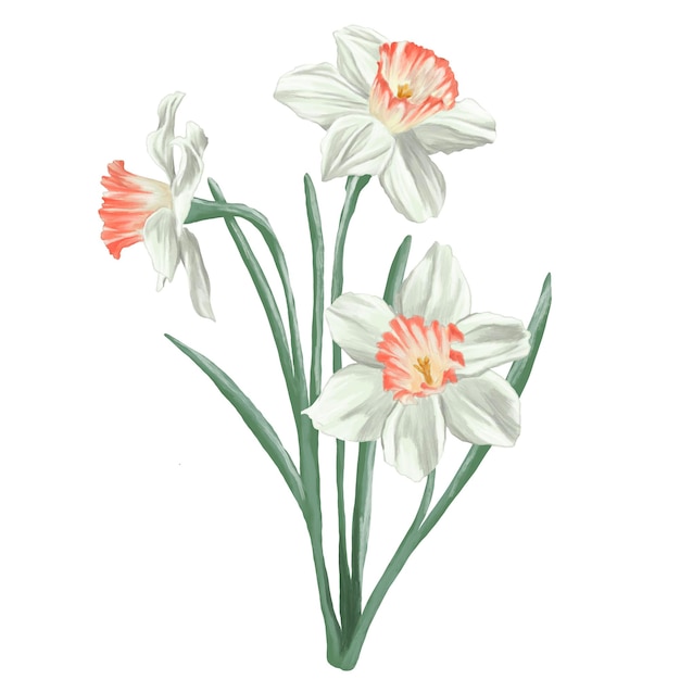 PSD daffodil flower painting illustration