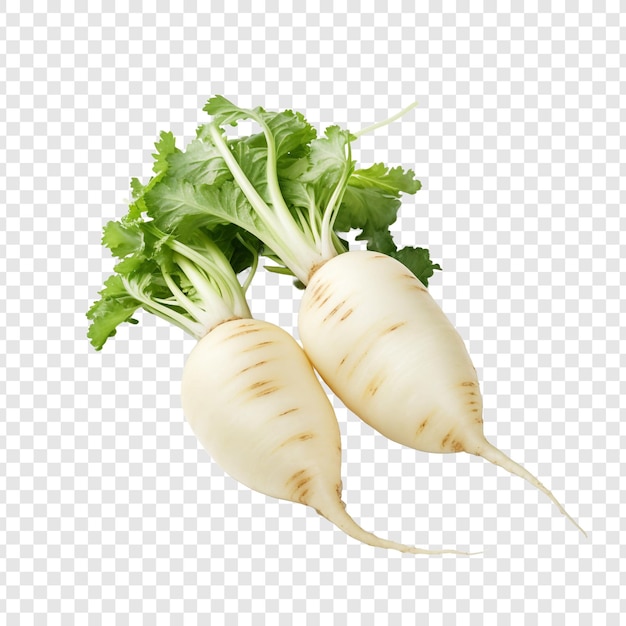 Daikon Izolowany Na Przezroczystym Tle