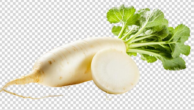 Radice daikon isolato su sfondo trasparente