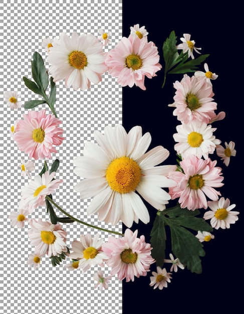 Daisy Flower Circle Frame for Invitations on transparent background png psd
