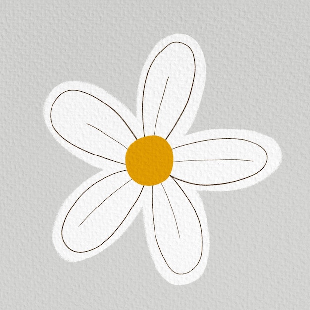 PSD daisy flower illustration white petals daisy flower illustration